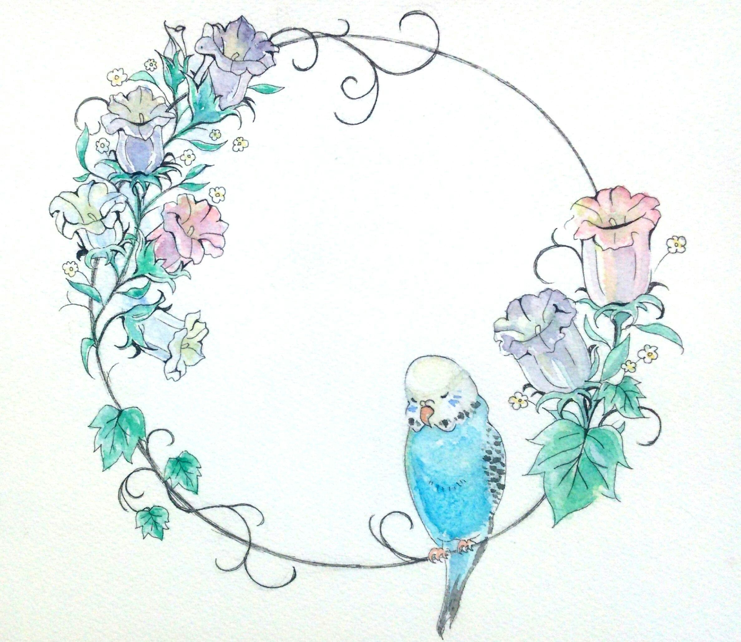かわいい動物画像 綺麗な青い鳥 イラスト 綺麗
